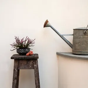 Pietrapiana Boutique イタリア